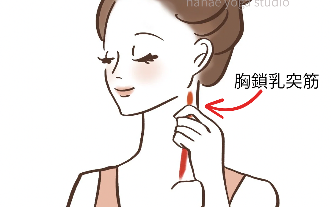 呼吸も楽になる｜首セルフケア