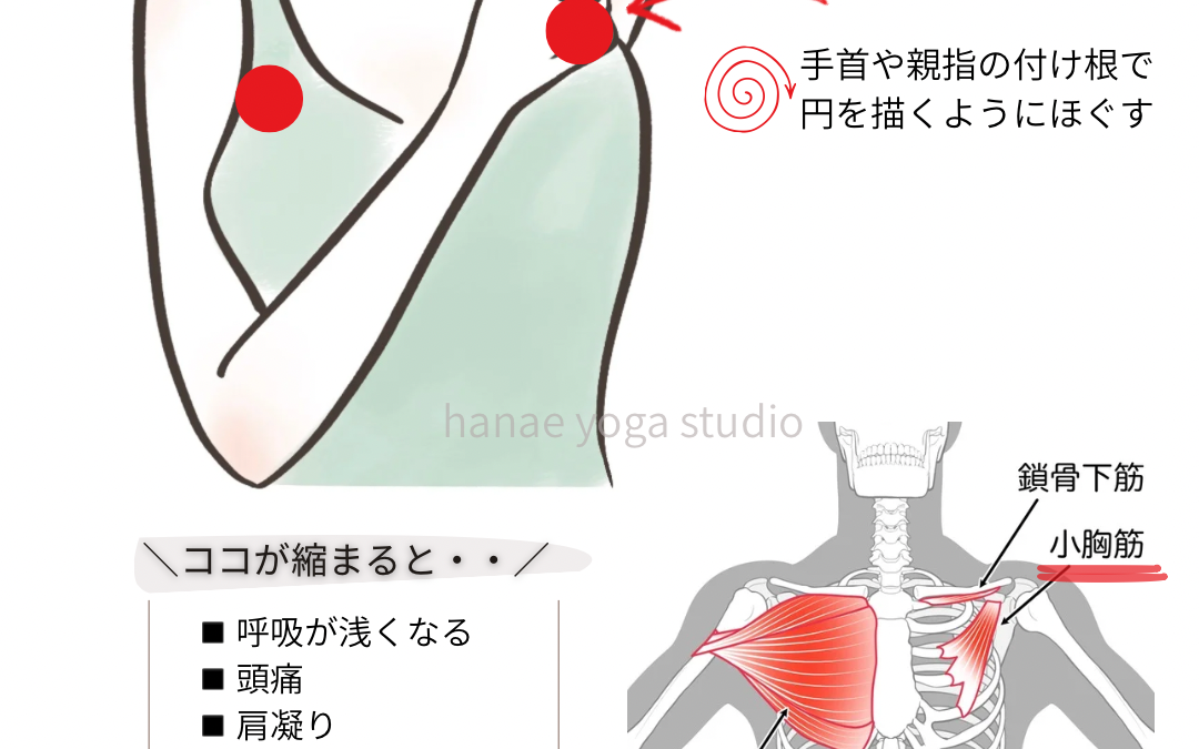 肩が下がらない・・