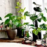 私のちょっとした日常の愉しみかた