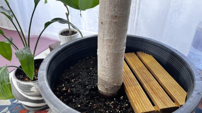 やることリスト1つ完了で決意が上がる｜2026