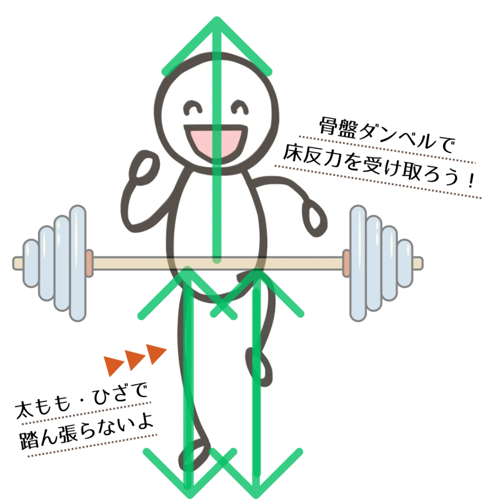 骨盤ダンベルの意識